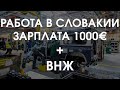 Работа в Словакии автозавод / Видео с место работы