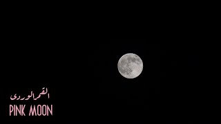 Short Caught on Camera : The pink Moon ما اتلتقطته الكاميرا : القمر الوردى