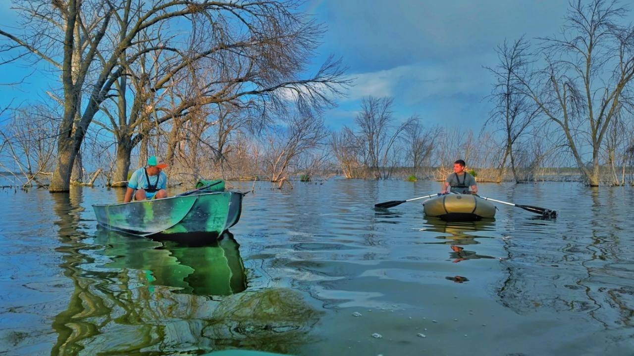 Рибалка на карася в затопленому лісі🪾В цих корчах повно риби 🎣  На човні 🚣‍♂️ потрапили в шторм ⛈️
