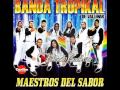 Banda Tropikal De Vallenar - Las Dos Camisas
