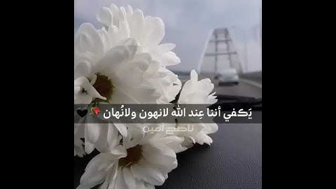 تلاوة مريحة للقلب من سورة الجن  حالات واتساب دينية/ الشيخ ماهر المعيقلي