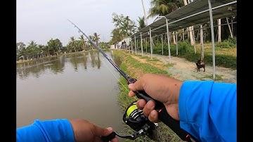 GIỚI THIỆU BỘ CHUYÊN CÂU LURE MÁY ĐỨNG CHỈ 700K