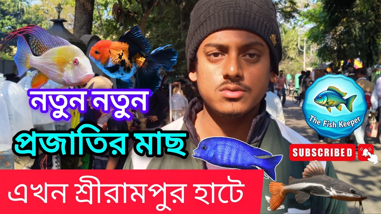 🔥নতুন নতুন প্রজাতির মাছ এখন শ্রীরামপুর হাটে #fish #seramporepetmarket 