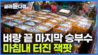 묵직한 2톤 닻에 빨려 들어가는 학교 운동장보다 큰 그물! 넣었다 꺼내면 갈치가 와르르 쏟아진다! 어장 제대로 잡은 선장┃흑산도 바다 안강망 만선 갈치잡이┃극한직업┃#골라듄다큐