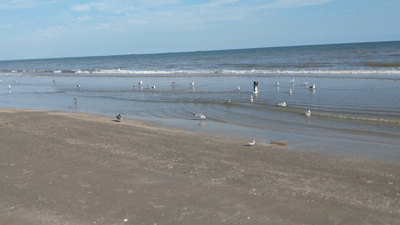 Gulf of Mexico. Galveston Island, Texas YouTube