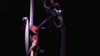 Silks