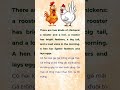 Chicken | Slow English | English Listening Time | English Practice #englishshorts #english