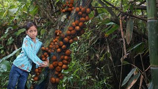 Orphan Life, Harvest Wild Fruit In Forest Go To The Market Sell - Homeless Life, Green Forest Life