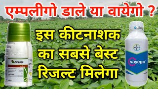 एम्पलीगो डाले या वायेगो ? इस कीटनाशक का सबसे बेस्ट रिजल्ट मिलेगा / Syngenta Ampligo / bayer vayego screenshot 5