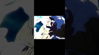 One Piece Episode 1074 Fight Peak