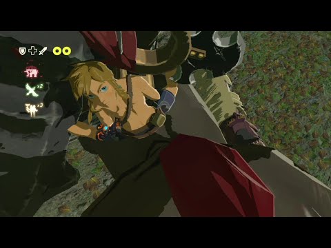 依頼を受けて、ＷｉｉＵ版　Ｖｅｒ１．０．０でヤブサメ中にライネルに飛び乗ってみた