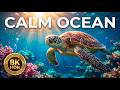 Deep Ocean Calm in 8K|Real Underwater World for Relax &amp; Sleep (2.5 Hours )#relax #sleep #deepsea #8k