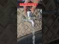 How to stop water leakage from tap plumbing plumber shorts youtubeshorts