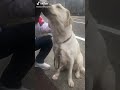 嘘!?コレ倍速じゃないの!?