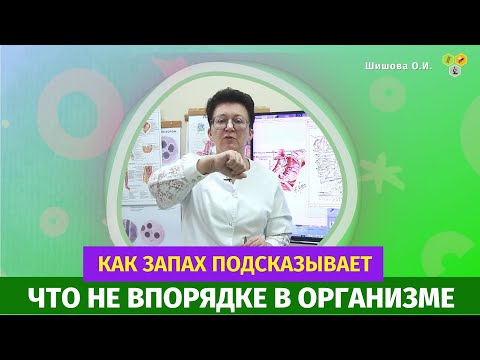 О чем расскажет пот, как запах подсказывает что не впорядке в организме?