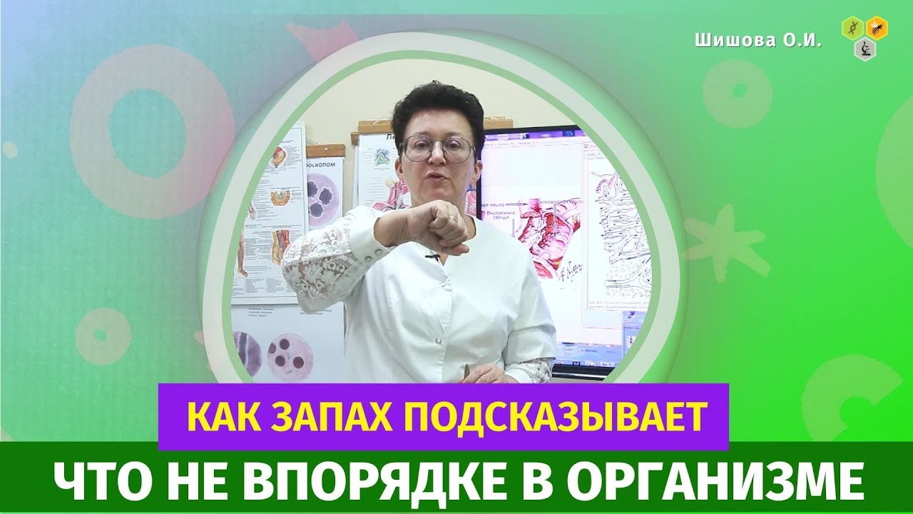 О чем расскажет пот, как запах подсказывает что не впорядке в организме?