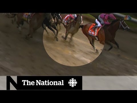 Video: Kentucky Derby Hästar Hur Man Satsar