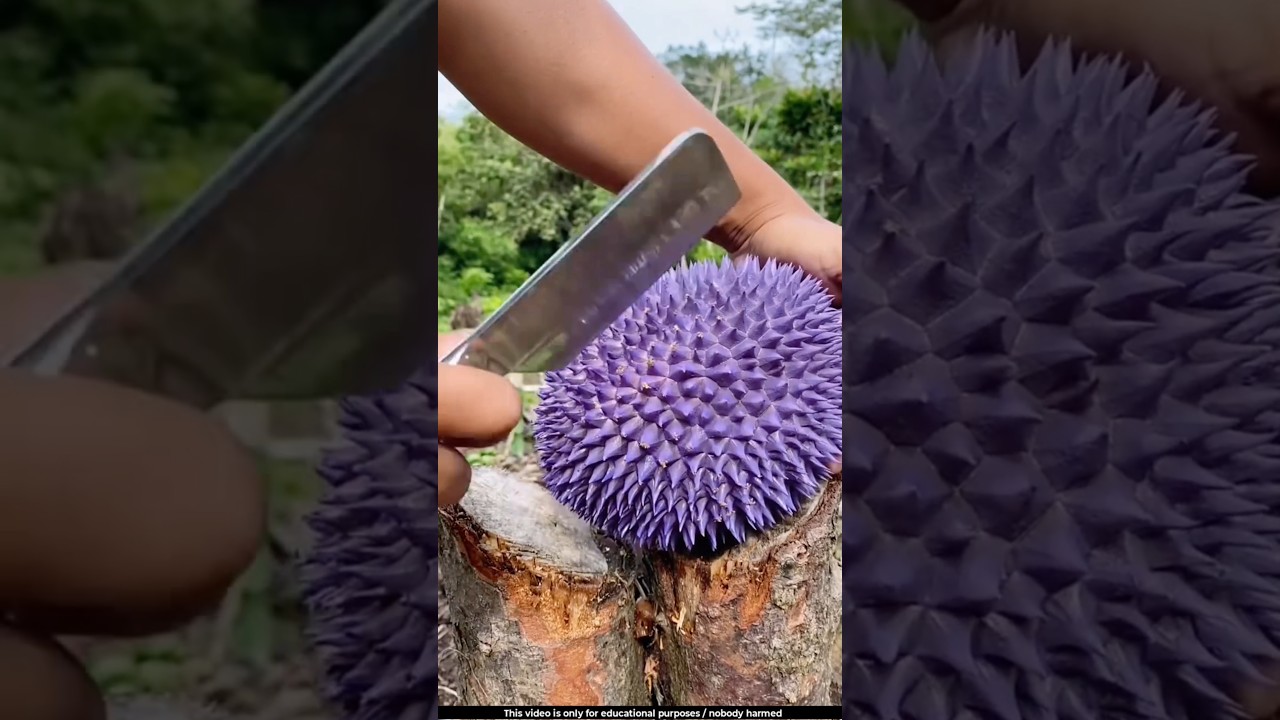 This fruit is called the king of the world 😯l 