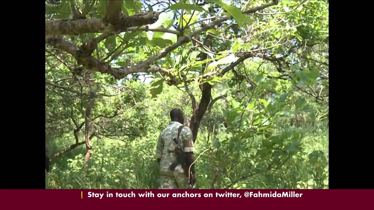 Uganda conservationists celebrate birth of a rhino