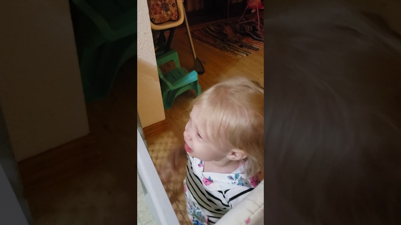 Baby wookie - YouTube