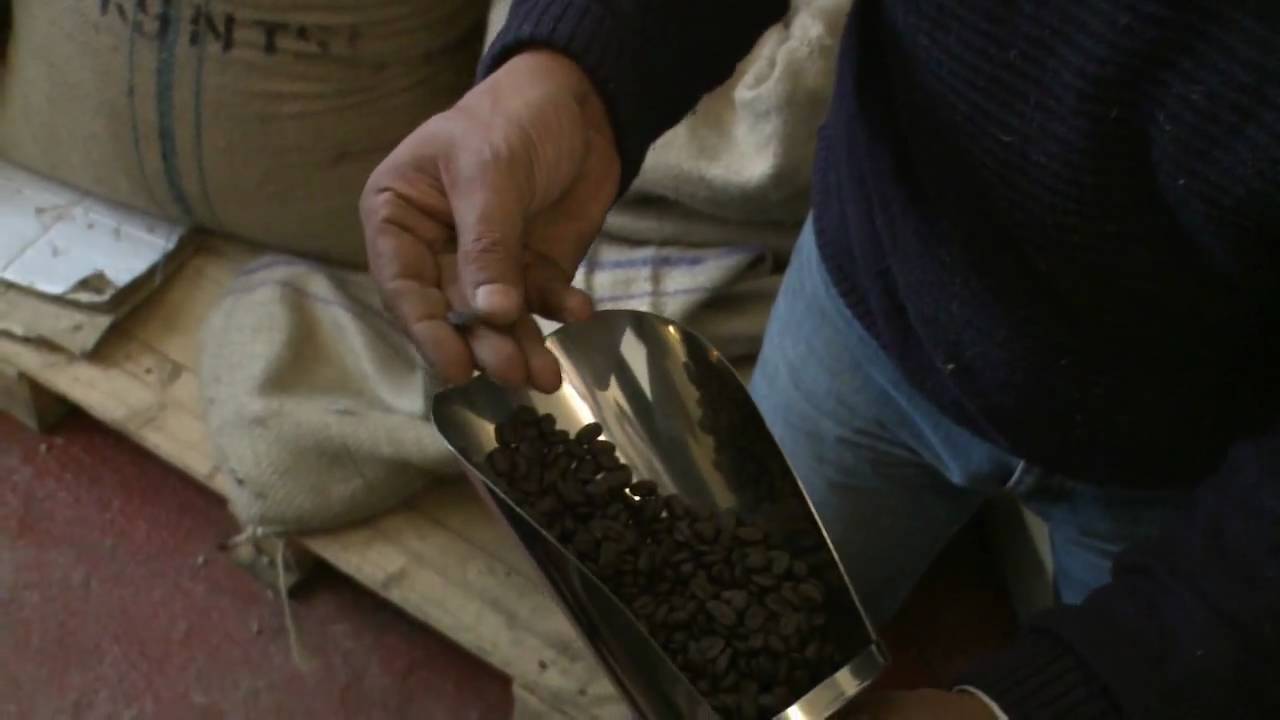 From Bean to Cup Part 3 YouTube