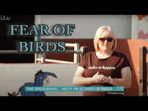 וִידֵאוֹ: כיצד להתגבר על פחד מציפורים: 14 שלבים (עם תמונות)