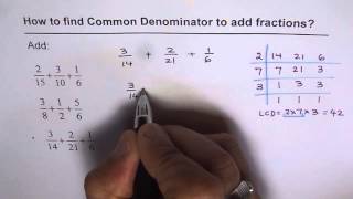 Find Least Common Denominator and Add The Fractions
