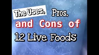 Live Fish Food: The Uses, Pros and Cons