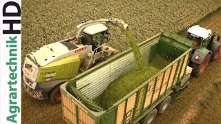 CLAAS JAGUAR 980 | Fendt Traktoren im Einsatz - Grünroggen Häckseln