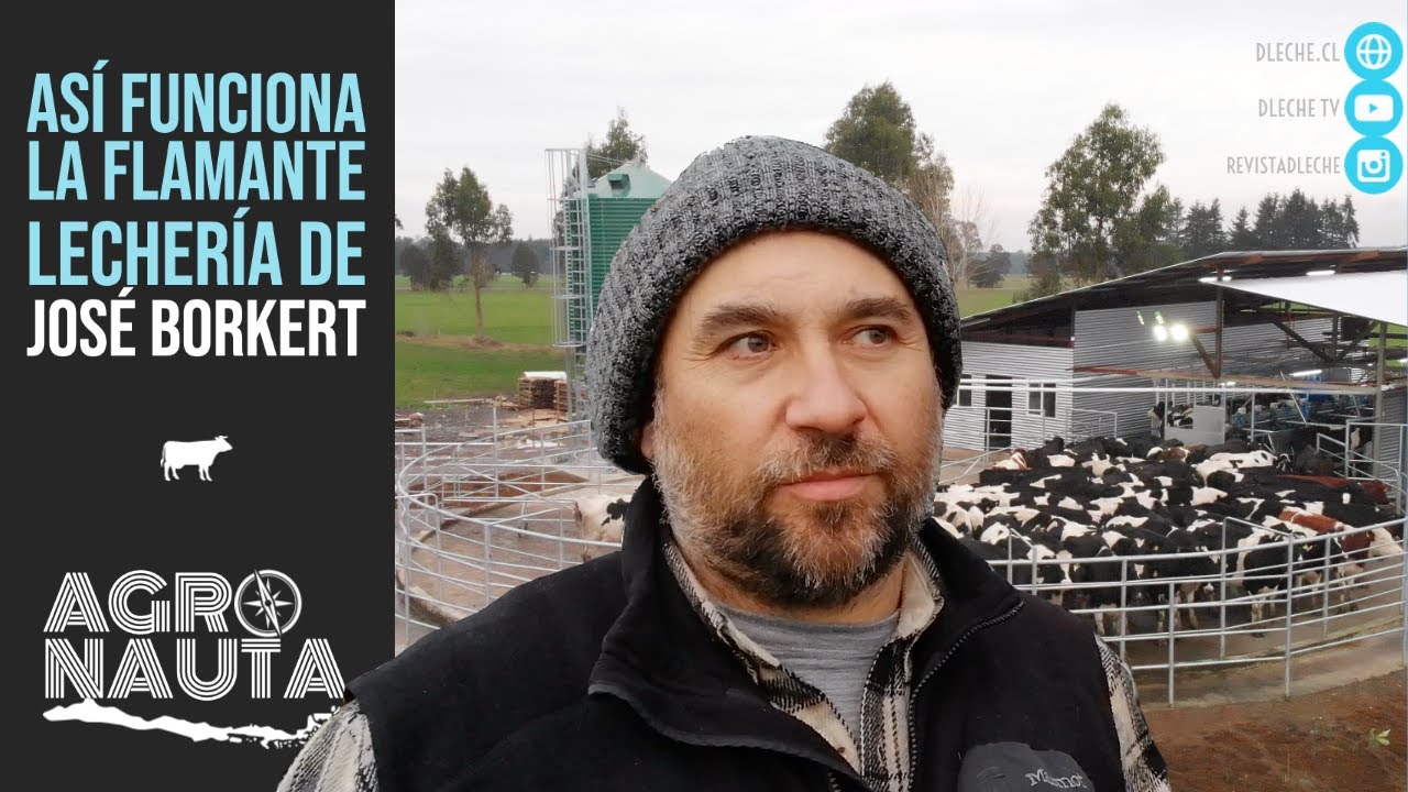 Así funciona la flamante lechería de José Borkert | Agronauta Nº19
