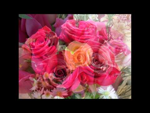 الحب رزق نورهان محمد 