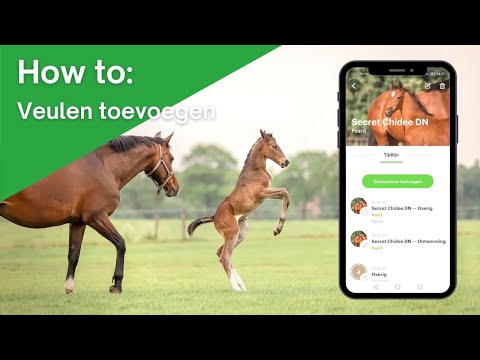 De Anymal app - How to: Veulen toevoegen