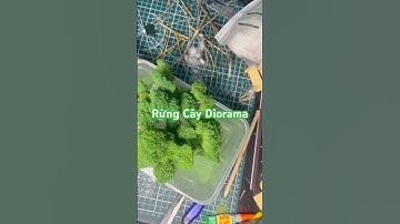 Cách làm cây (rừng cây) trang trí diorama, tiểu cảnh #scale164 #diy #diorama #custom #handmade