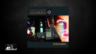 Mesh - Adjust Your Set