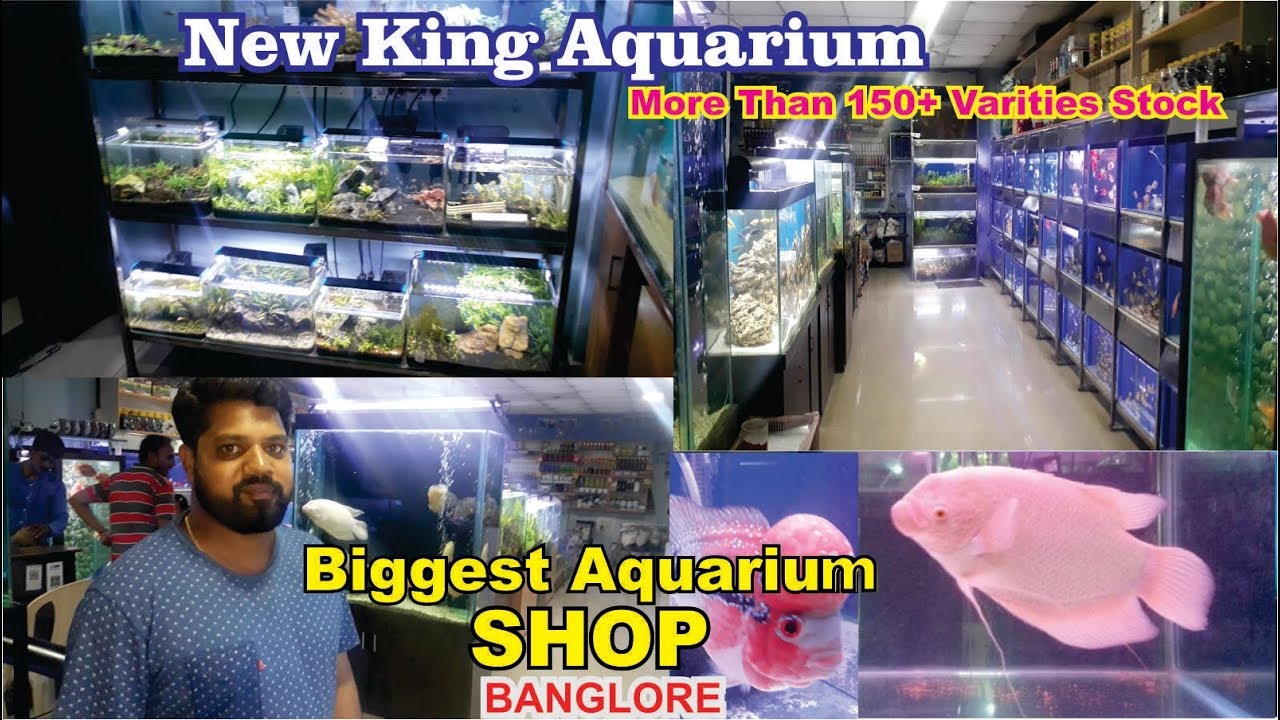 nearest aquarium shop