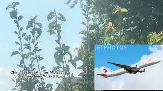 JFK arrival flights view spotting