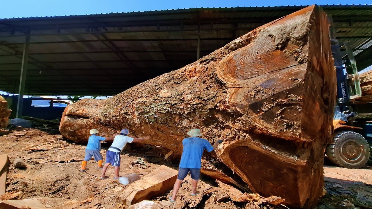 quite a stressful process of sawing planks of wood - YouTube