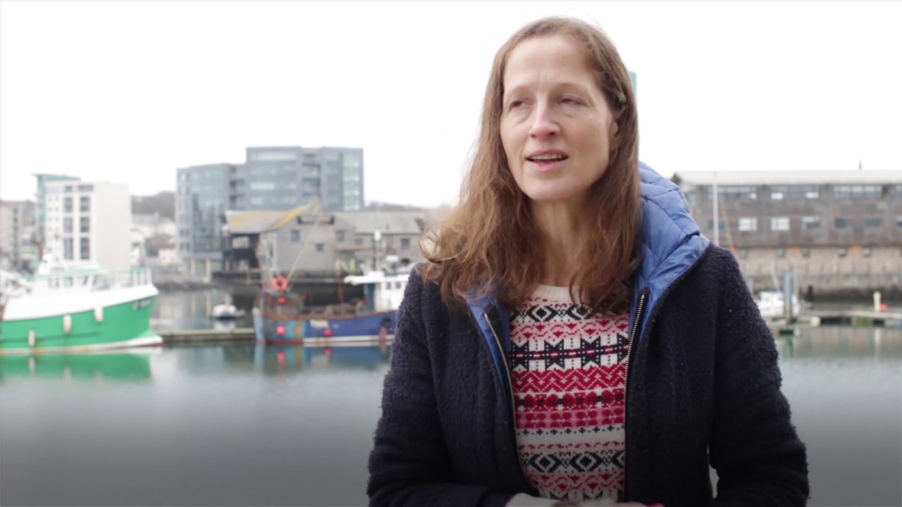 Sole of Discretion Quality Fish Traceable to Boat YouTube