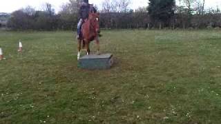 VID 00017-20110411-1539.3GP