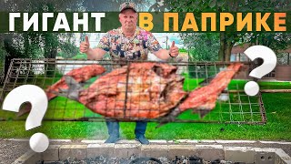 ШАШЛЫК ИЗ РЫБЫ НА ОГРОМНОМ МАНГАЛЕ ! КАК ПРИГОТОВИТЬ И НАКОРМИТЬ ГОСТЕЙ ! #рыба #шашлык #рецепт