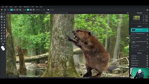 How to make a reflection in pixlr.com/e