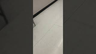 They caught me stealing a tv in Walmart! #walmart