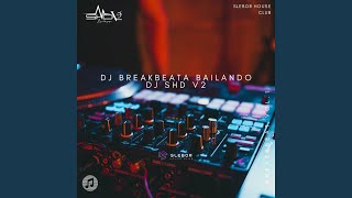 DJ BREAKBEAT BAILANDO - INST