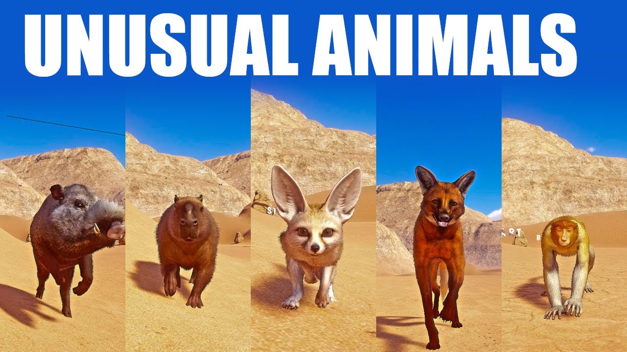 Unique Animal Racing Unusual Animals Speed Races in Planet Zoo included Fox, ,Maned Wolf ...