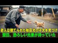 【奇跡の実話】老人は捨てられた秋田犬の子犬を見つけ、家に連れて帰って育てることにした…翌日、恐ろしい光景が待っていた。