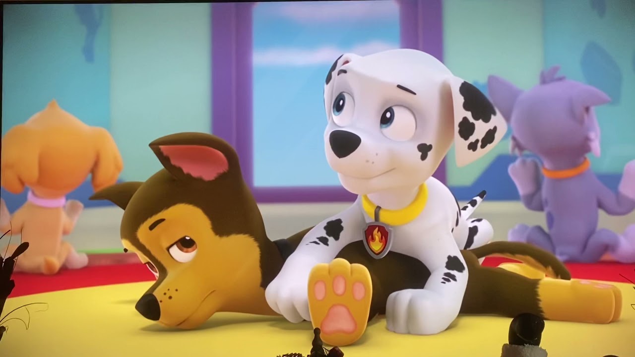 Paw Patrol Marshall Mishaps S2 E1 pups Save The Penguins YouTube