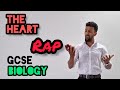 Science raps gcse biology  heart structure