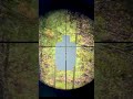 $60 MPVO New Triton Ronin 3-9 Hybrid Optic