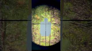 $60 MPVO New Triton Ronin 3-9 Hybrid Optic