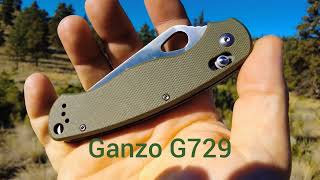 🕷🕷 GANZO G729 -- JUST A NICE BUDGET KNIFE.  $18.95 ON AMAZON 🕷🕷